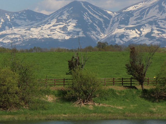 �Q�O�P�V�N�T������_�����_���l�x�m