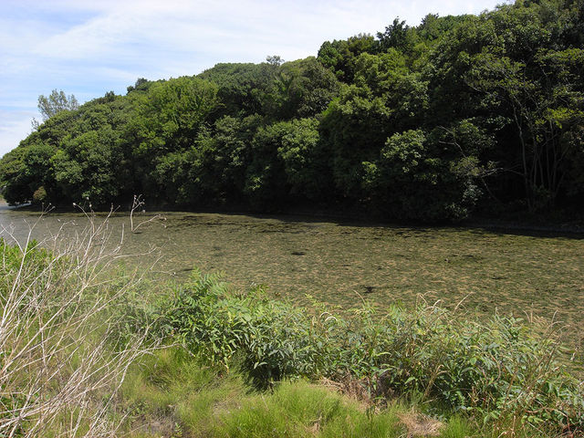 Ђ͂񂳂̐JVcˌÕ̓eʐ^1