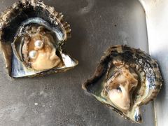 ܂Ԃ̐^H[@^̗ւ̓eʐ^1