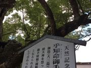 񂳂̑R__Ђ̃NX̓eʐ^1