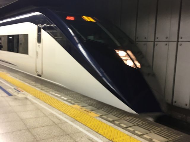 �C�u�j���O���C�i�[_�������w