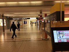 tam-tam̃^v^v̎Dywns `EJEzւ̓eʐ^1