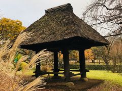 ߂̂̉̍qi]˓Ẳjւ̓eʐ^1