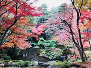 ߂̂̓aJ˒뉀̍gt̓eʐ^2