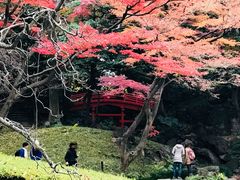 ߂̂̒ʓViΐyjւ̓eʐ^3