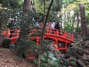 ߂̂̒ʓViΐyj̓eʐ^1