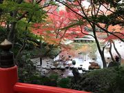 ߂̂̒ʓViΐyj̓eʐ^2