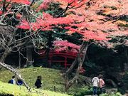 ߂̂̒ʓViΐyj̓eʐ^3