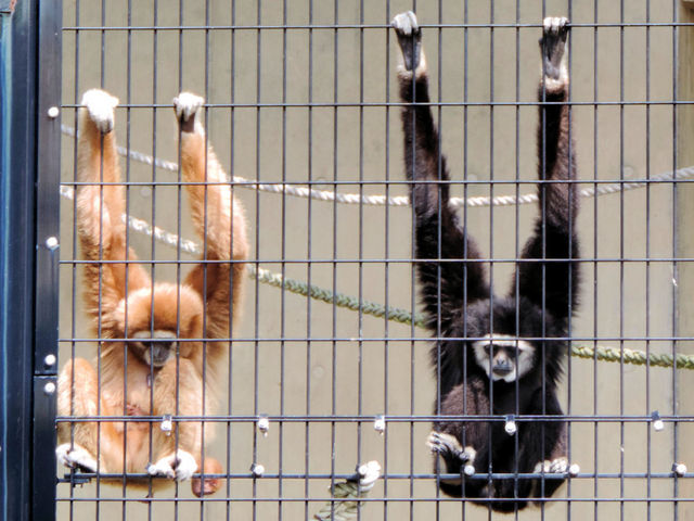 ��������Ⴂ�I_���R������