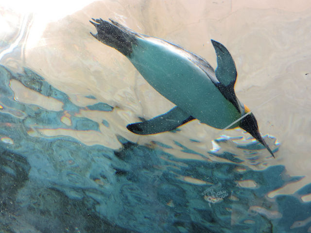 �y���M�����j��_���R������