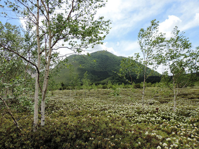 �쓒����܂ł͂��Ƌ͂�_�쓒����