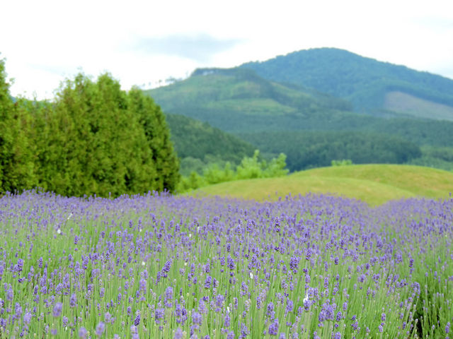 ���x���_�[��_���̉w ��ӂ��