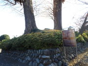 ^񂳂̗쎁ِՂ̓eʐ^1