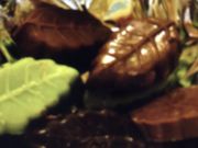 ~Ñ[ Ȃ΃EH[NX̓eʐ^1