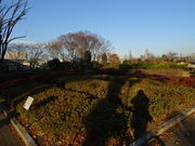 ^񂳂̓s_ёZ^[̓eʐ^1