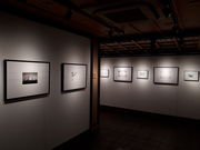 񂷂̋sʐ^p M[EWplXN̓eʐ^1