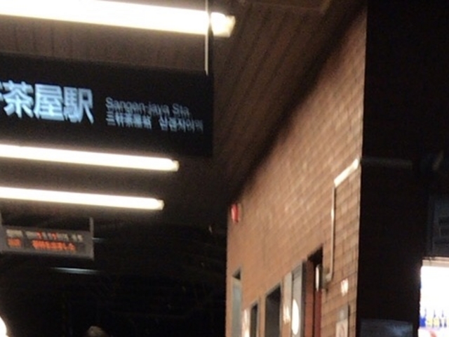 �O�������w_���}���c�J���O�������w