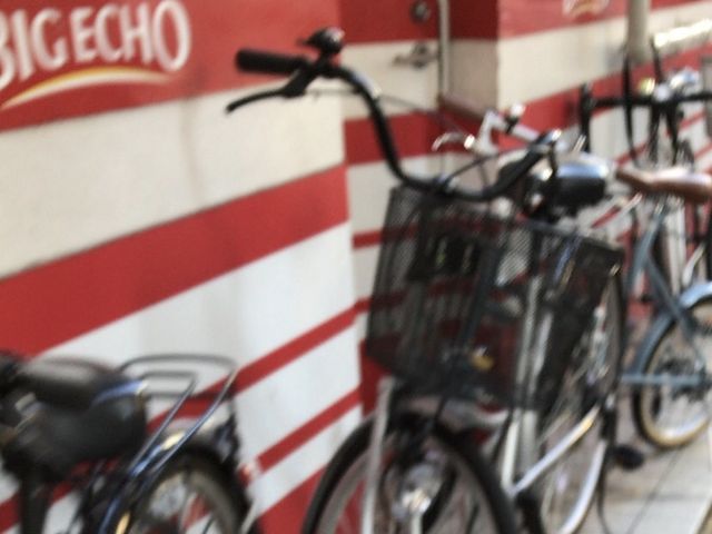 rbNGR[O_rbOGR[ BIG ECHO OwOX