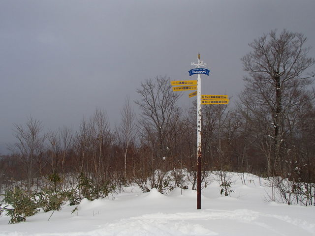 Ȃł̖kEiÍjXL[̓eʐ^1