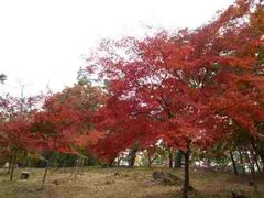 mimino����̌��̐΂��݂������ւ̓��e�ʐ^1