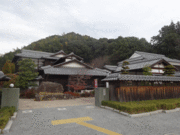 ney����̎R���s�؍����̓��e�ʐ^1