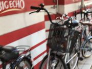 ₳̃rbOGR[ BIG ECHO OwOX̓eʐ^1