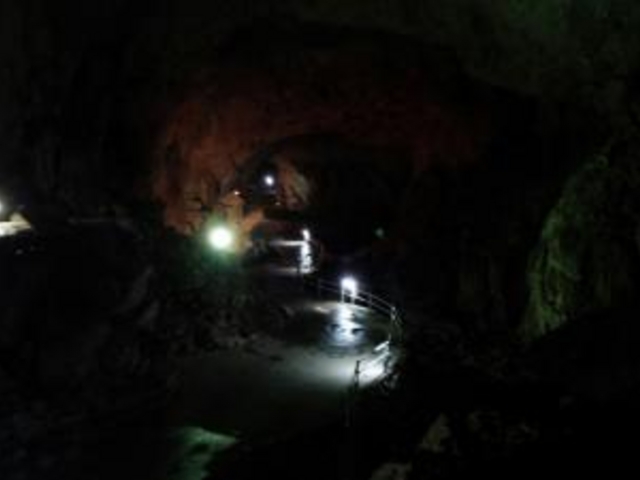 �����t��_�i����