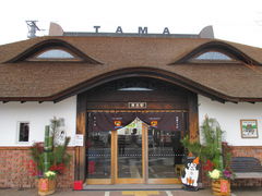 jun̋Muwi܃~[WA jւ̓eʐ^1