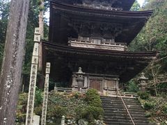 ���ʎ��̎ʐ^1