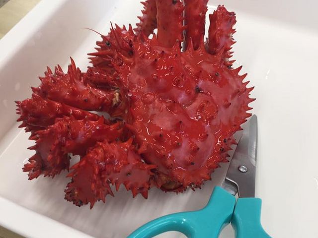 ���̉ԍ�K�j��H���܂����B�ԍ�K�j�̓��h�J���̈��c_�[���z��