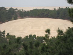 ˂̑K`Guiʕvւ̓eʐ^1