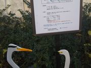 cJ擙X͂̏Zl̓`쒹̓eʐ^1