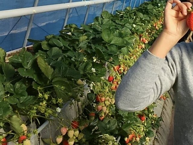 �����ɂȂ��Ă܂���_���ǂ₢������艀