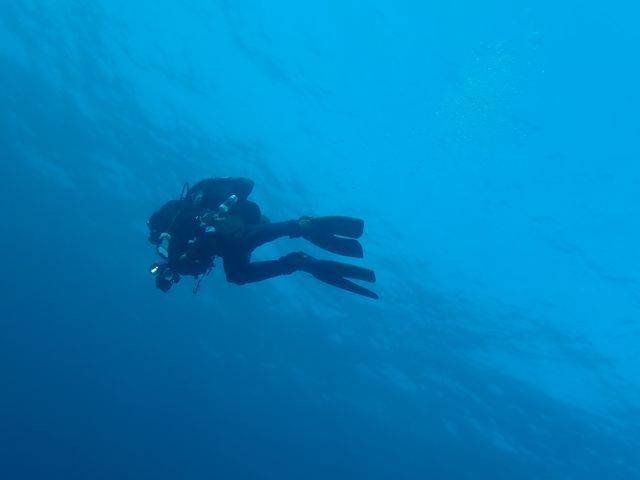 �K�C�h������p�V����_���[�t�@���C�_�[�Y