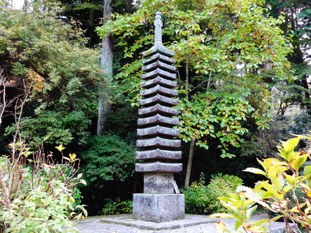 ��D��_��D��