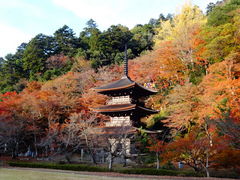 金剛院（京都府舞鶴市）の写真一覧 - じゃらんnet