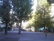 Ƃ񂳂̋H̃C`E̓eʐ^1