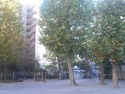 Ƃ񂳂̋H̃C`E̓eʐ^2