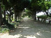 낤̉ԐAQƃtNM؂̓eʐ^1