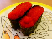 ǁ[̂ώi oCpXX̓eʐ^1