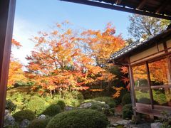 ܂܂ς񂾂̌ւ̓eʐ^1