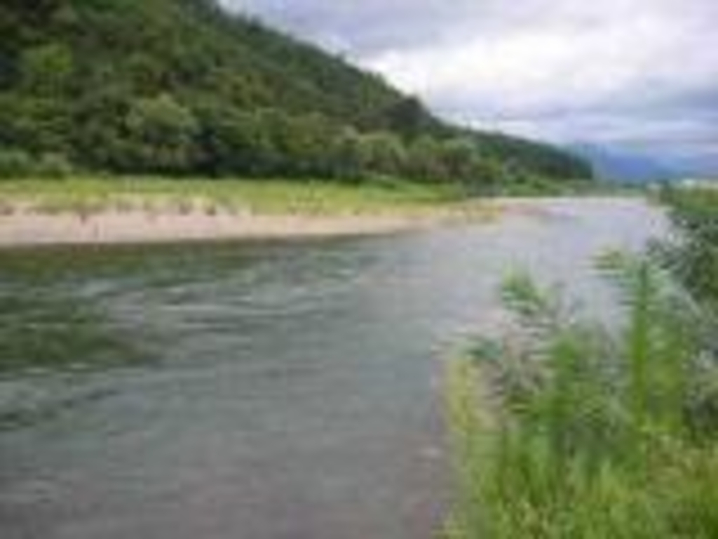 塩沢駅周辺の漁業体験 潮干狩り 地引網ランキングtop6 じゃらんnet