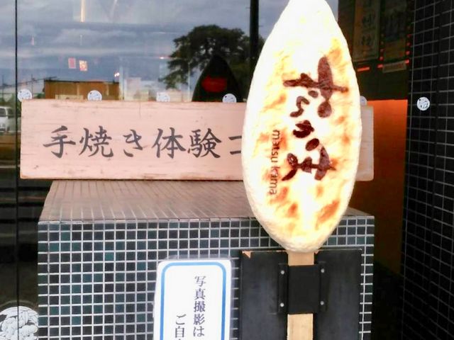 �������g�{��_�������g�{��