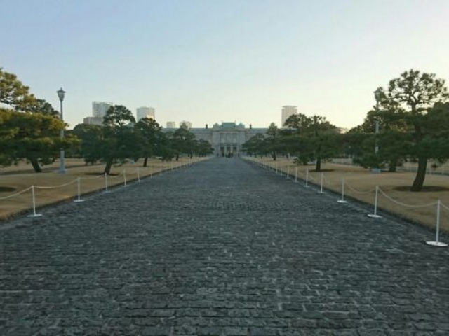 �O��_�}�o��