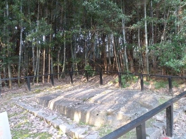 �S�̘�_�S��ઁE�S�̐�B