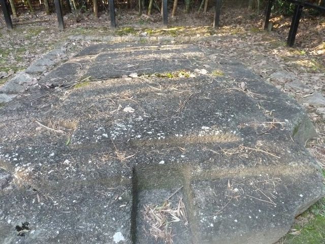 �S�̘�_�S��ઁE�S�̐�B