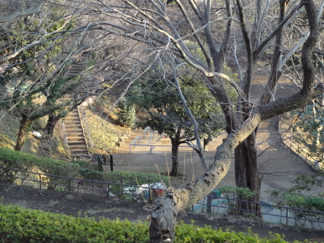 �؁X�̗t�͌͂�A���E���i�ł�_�R�����