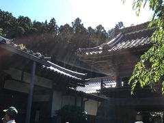 たこさんの最勝寺（鳥取県鳥取市）の投稿写真2