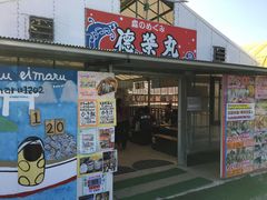 poporon̓hۂւ̓eʐ^1