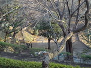 �g�����\����̎R������̓��e�ʐ^1